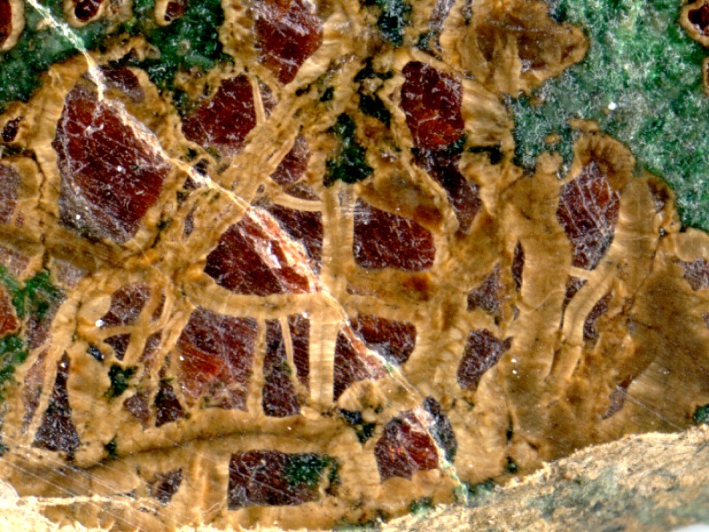 Granátický pyroxenit, Mříč, foto J. Zikeš